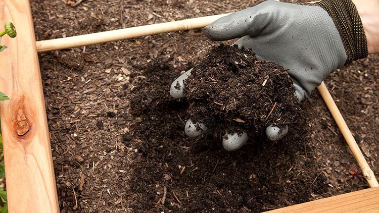 How To Make Compost For Garden